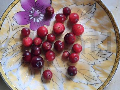 Obuolių, aviečių ir spanguolių kompotas Žingsnis 3