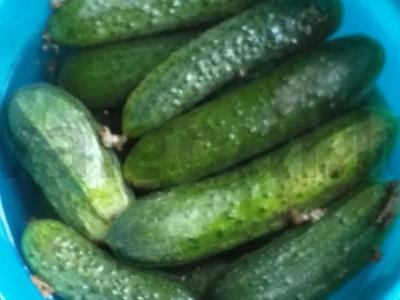 Žieminiai agurkai Žingsnis 1