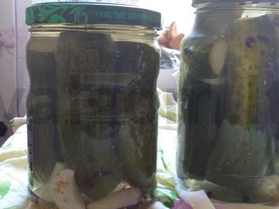 Žieminiai agurkai pagrindine nuotrauka