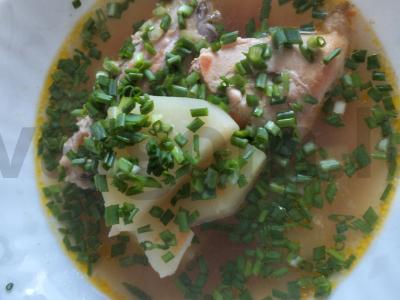 Troškinta vištiena su bulvėmis, morkomis ir žaliu svogūnu pagrindine nuotrauka