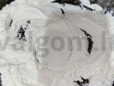 Kepti cukinijos Žingsnis 1