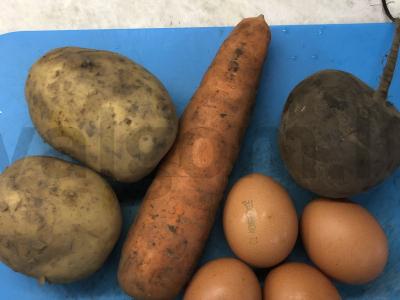 Silkė šubėje Žingsnis 1