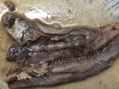 Silkė šubėje Žingsnis 8