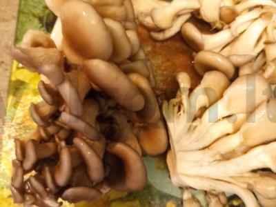 Pievagrybiai, troškinti grietinėje Žingsnis 2