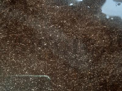 Bulvytės fri Žingsnis 2