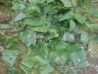 Špinatų sriuba su kiaulienos kaulais pagrindine nuotrauka