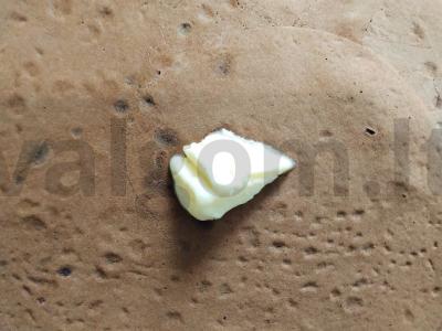 Saldūs blynų ritinėliai Žingsnis 2