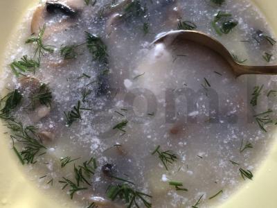 Lengvas grybų sriuba pagrindine nuotrauka