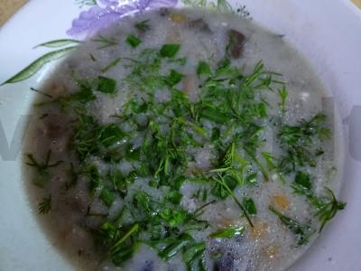 Grybų sriuba su lydytu sūriu pagrindine nuotrauka