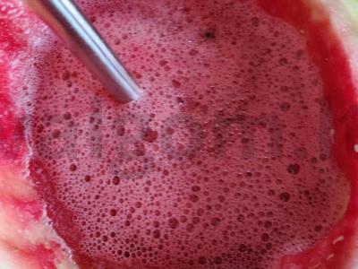 Sorbeto „Arbuzikas“ Žingsnis 5