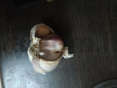 Žalioji pupelė su česnaku ir svogūnu Žingsnis 1