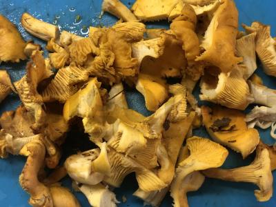 Grybų sriuba su voveraitėmis Žingsnis 1