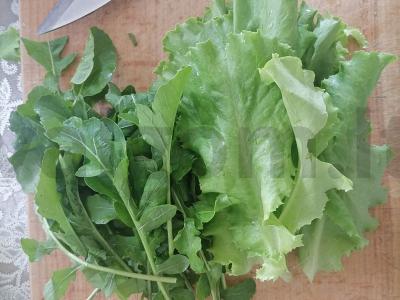 Vasaros Graikija Žingsnis 1