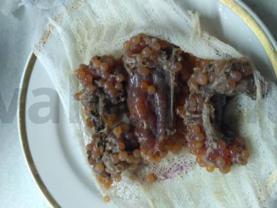 Raudona ikra mažai sūdyta Žingsnis 3