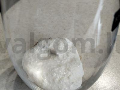 Greitas desertas iš biskvitinio pagrindo su varške ir linų sėmenimis Žingsnis 4