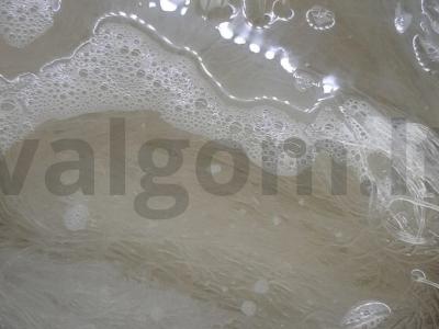 Funchosa su krevetėmis grietinėlės padaže vakarienei Žingsnis 4