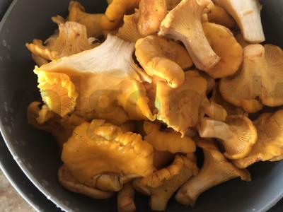 Voveraitės grietinėje Žingsnis 1