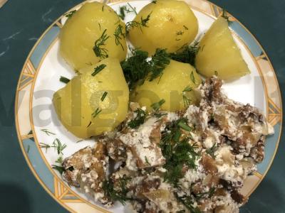 Voveraitės grietinėje pagrindine nuotrauka