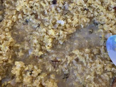 Virti bulgur su svogūnais Žingsnis 4