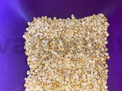 Sriuba per valandą pagal firminį receptą, su rūkytais produktais Žingsnis 1