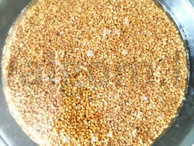 Grikių košė su kalakutiena orkaitėje Žingsnis 5