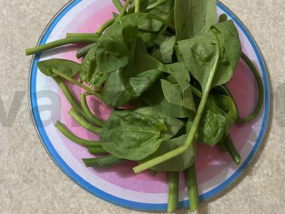 Salotas „Žalias“ su česnakine lazdynėle ir pupelėmis Žingsnis 1