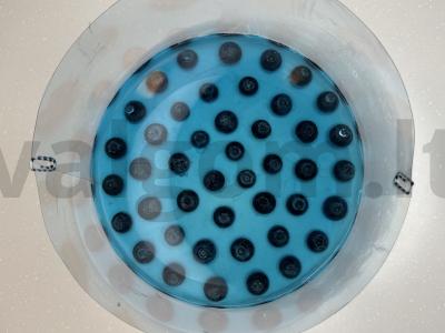 Tas pats sūrio pyragas su mėlynėmis Žingsnis 12