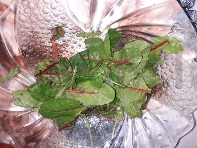 Salotas su kiaušiniu, ančių skrandžiais ir žolelėmis Žingsnis 1