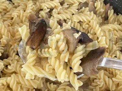 Makaronai su svogūnais ir grybais pagrindine nuotrauka