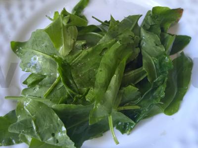 Rūgščiai saldus rūgštynių kompotas su džiovinta mėta Žingsnis 1