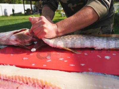 Lydeka naminio pomidorų sulčių padaže Žingsnis 1