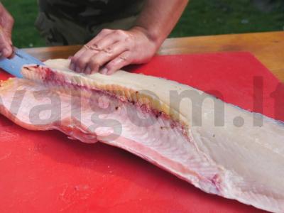 Lydeka naminio pomidorų sulčių padaže Žingsnis 2