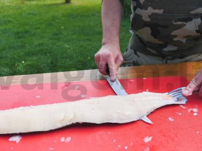 Lydeka naminio pomidorų sulčių padaže Žingsnis 3