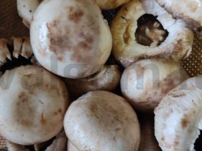 Įdaryti grybai Žingsnis 1