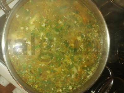 Šviežių ir raugintų kopūstų šči pagrindine nuotrauka