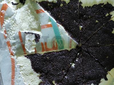 Varškės kruasanai su aguonomis Žingsnis 6