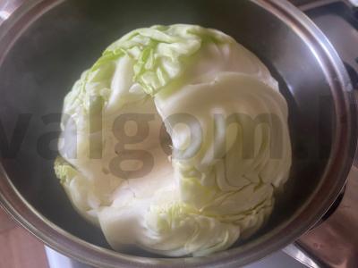 Kopūstai su kaimišku faršu pomidorų padaže Žingsnis 5