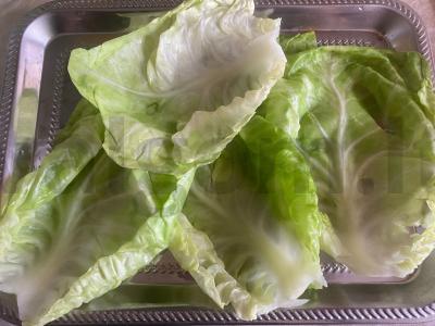 Kopūstai su kaimišku faršu pomidorų padaže Žingsnis 6