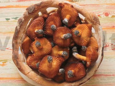 Pyragas „Grybai krepšyje“ pagrindine nuotrauka