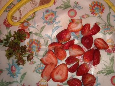 Vitaminų šaltinis Žingsnis 1