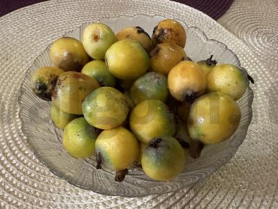 Kvapnus ir originalus kompotas su mušmule ir obuolių sultimis Žingsnis 1