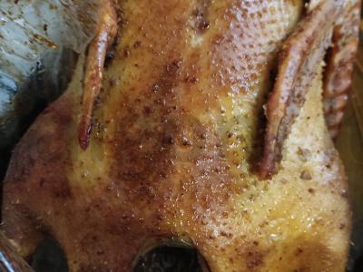 Antis su obuoliais pagrindine nuotrauka