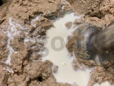 Eklerai su naminiu vištienos ir kepenų paštetu Žingsnis 9