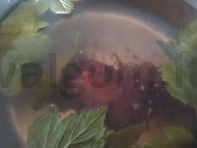 Kompotas iš uogienės ir juodųjų serbentų lapų Žingsnis 2