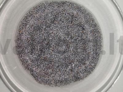 Naudingas chia sėklų ir mėlynių pudingas su kokosų pienu Žingsnis 1