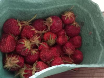 Smuzi su jogurtu, braškėmis ir bananais Žingsnis 2