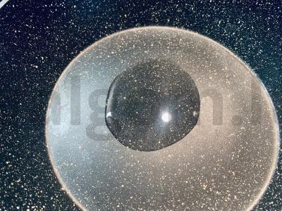 Kepenėlės grietinėlės ir svogūnų padaže „Švelni“ Žingsnis 1