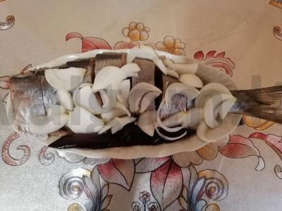 Silkė su marinuotais svogūnais pagrindine nuotrauka