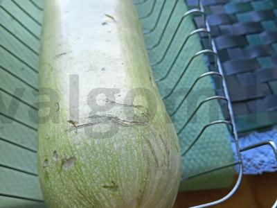 Keptos cukinijos Žingsnis 1