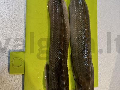 Žuvis ant grotelių „Carska“ Žingsnis 1